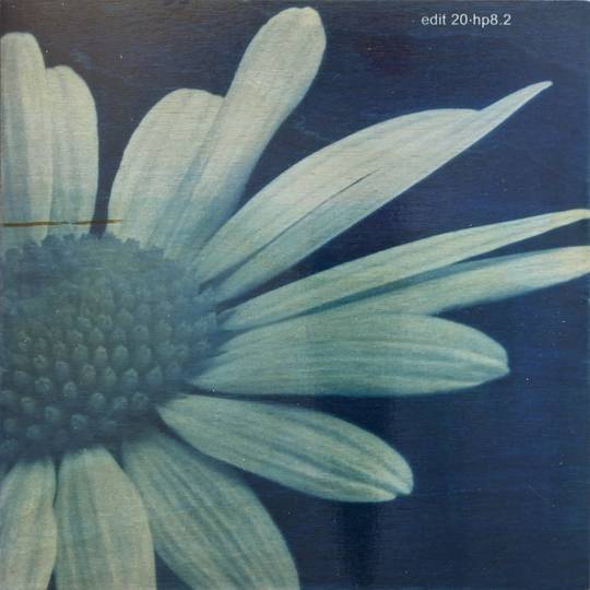 FLOWER PROOF SERIES II: #4