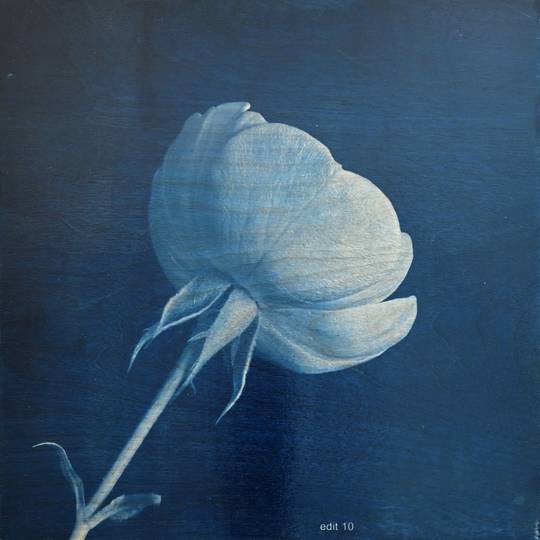 FLOWER PROOF SERIES II: #3