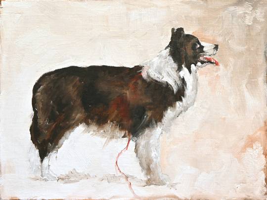 20 Portraits: Obedience