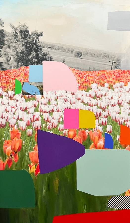 Tulips I