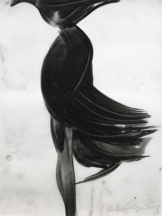 Untitled (PD477)