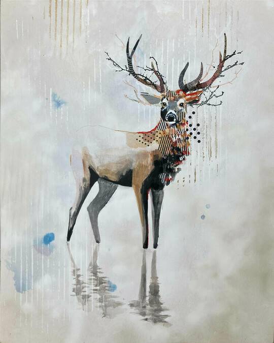 Mule Deer - West