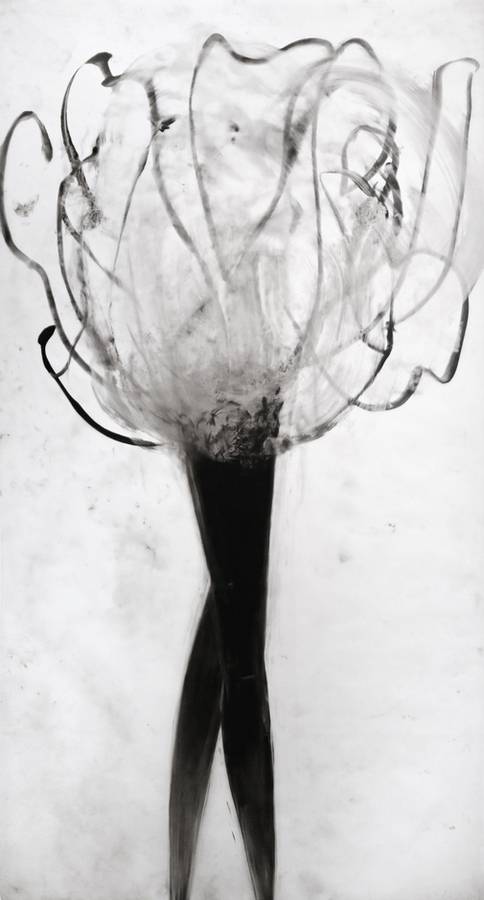 Untitled (DALEPD611)