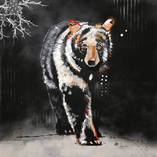 BLACK BEAR ROAD, DARK - WEST