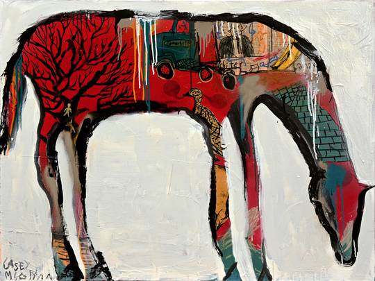Foal