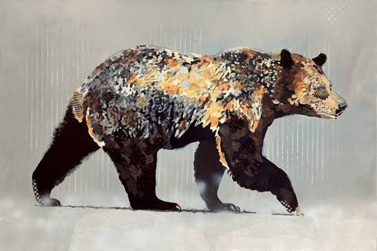 Grizzly Profile - Grey