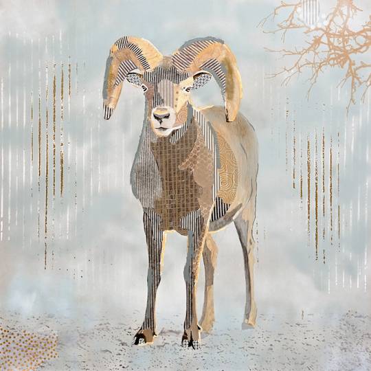 Big Horn Sheep