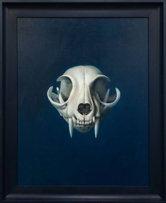 Loomis