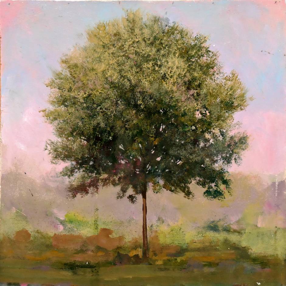 Stratford Maple