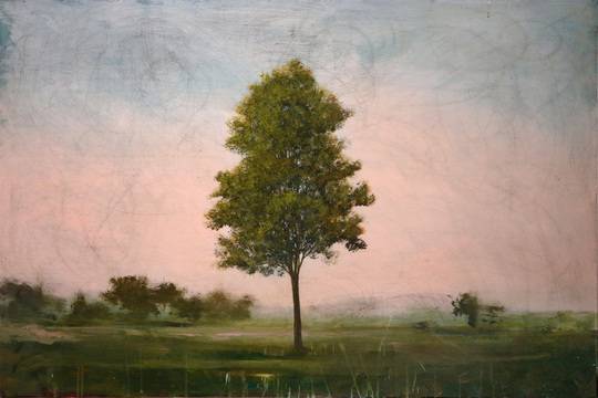 LINDEN TREE