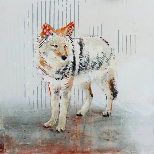 WHITE COYOTE ROAD