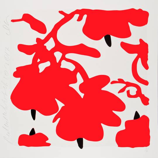 LANTERN FLOWERS RED + WHITE, FEB 10, 2017, ED. 15/50