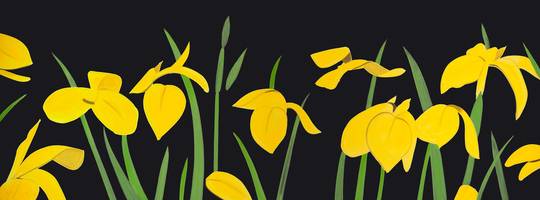 Yellow Flags 2, Ed. 44/125