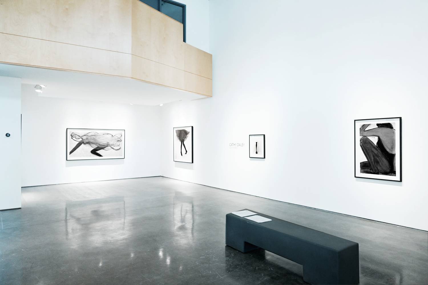 Cathy Daley | "Gestures" 2024 3