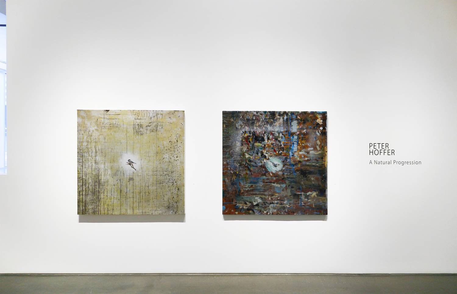 Peter Hoffer - "A Natural Progression" - 2019 2