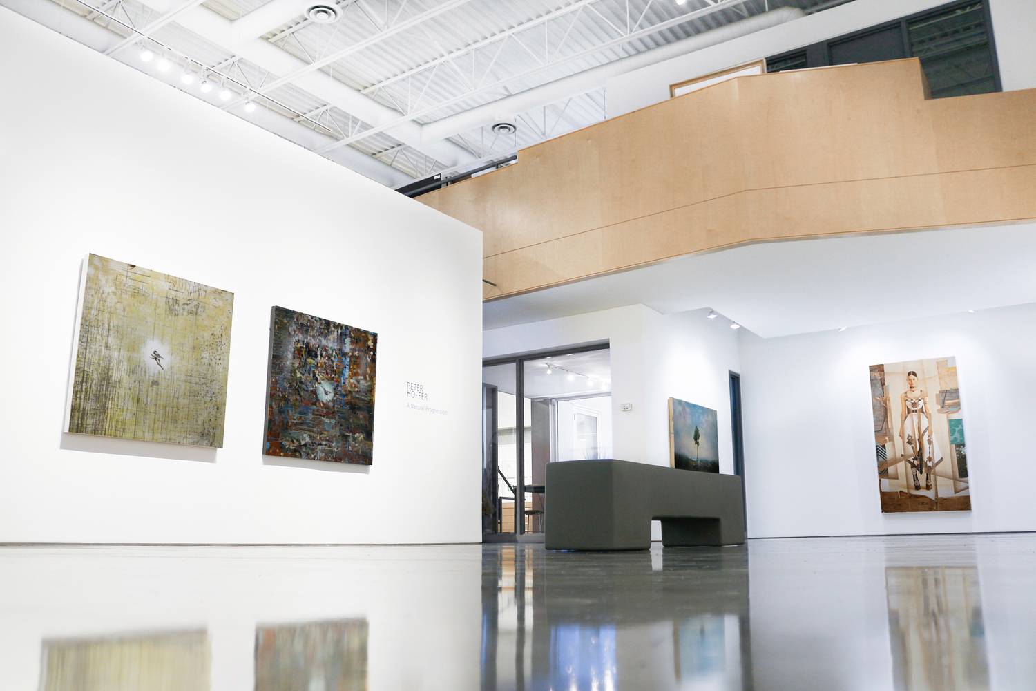 Peter Hoffer - "A Natural Progression" - 2019 3