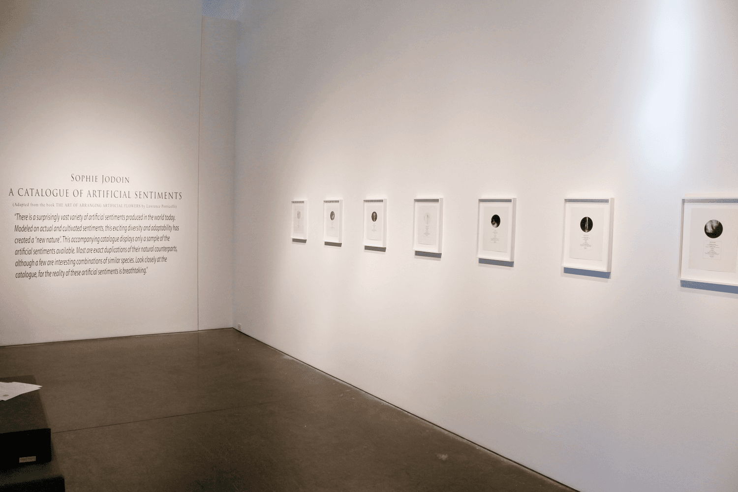 Sophie Jodoin - "A CATALOGUE OF ARTIFICIAL SENTIMENTS" - 2016 2