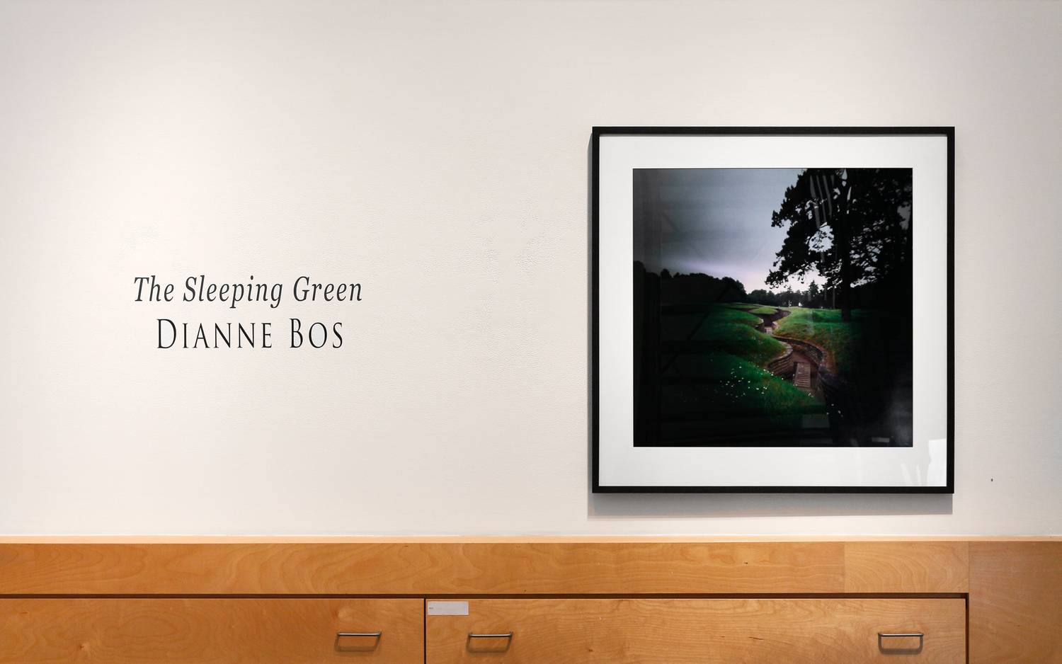 Dianne Bos - "The Sleeping Green" - 2015 1