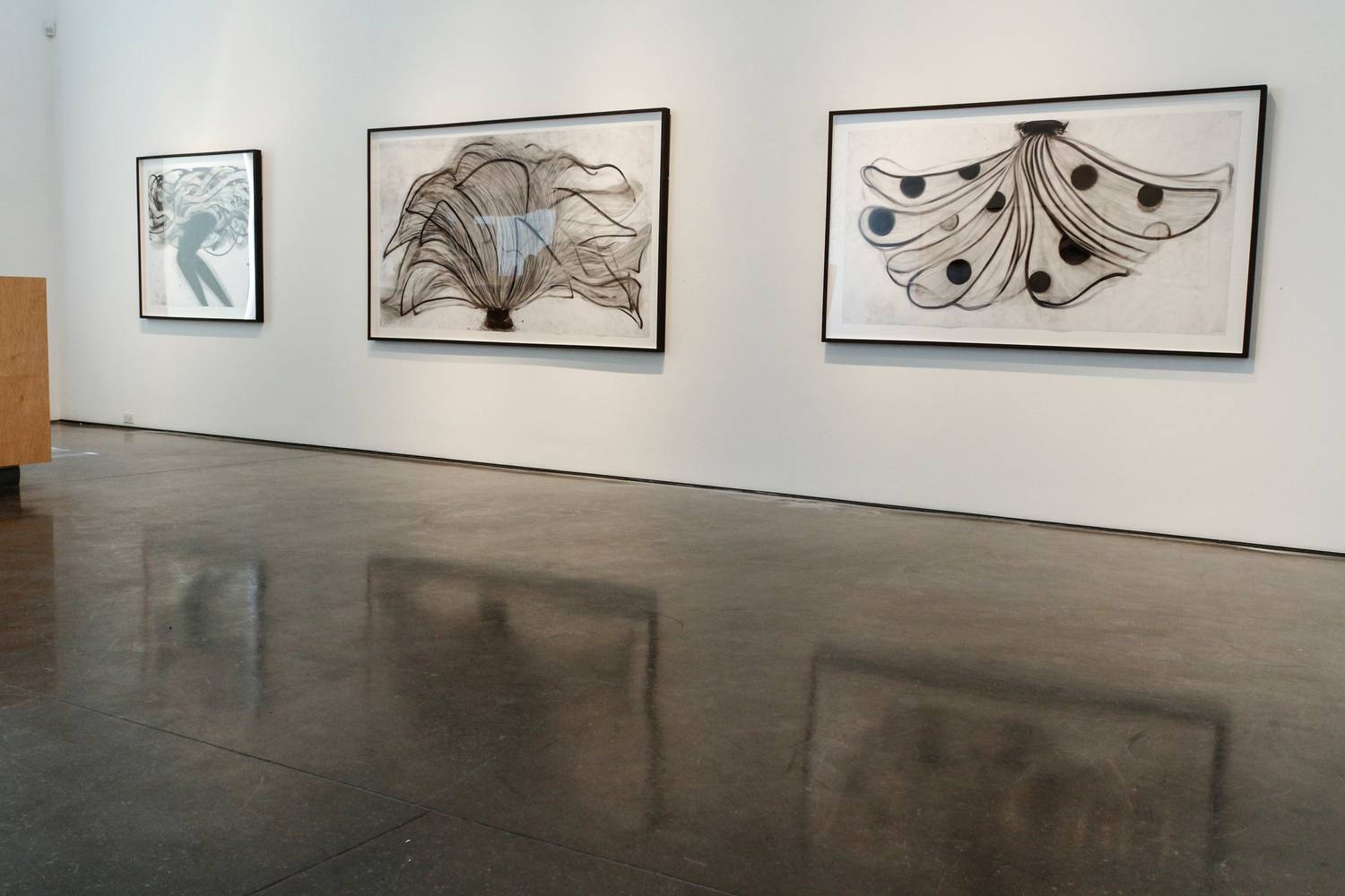 Cathy Daley - "Solo Exhibition" - 2015 4