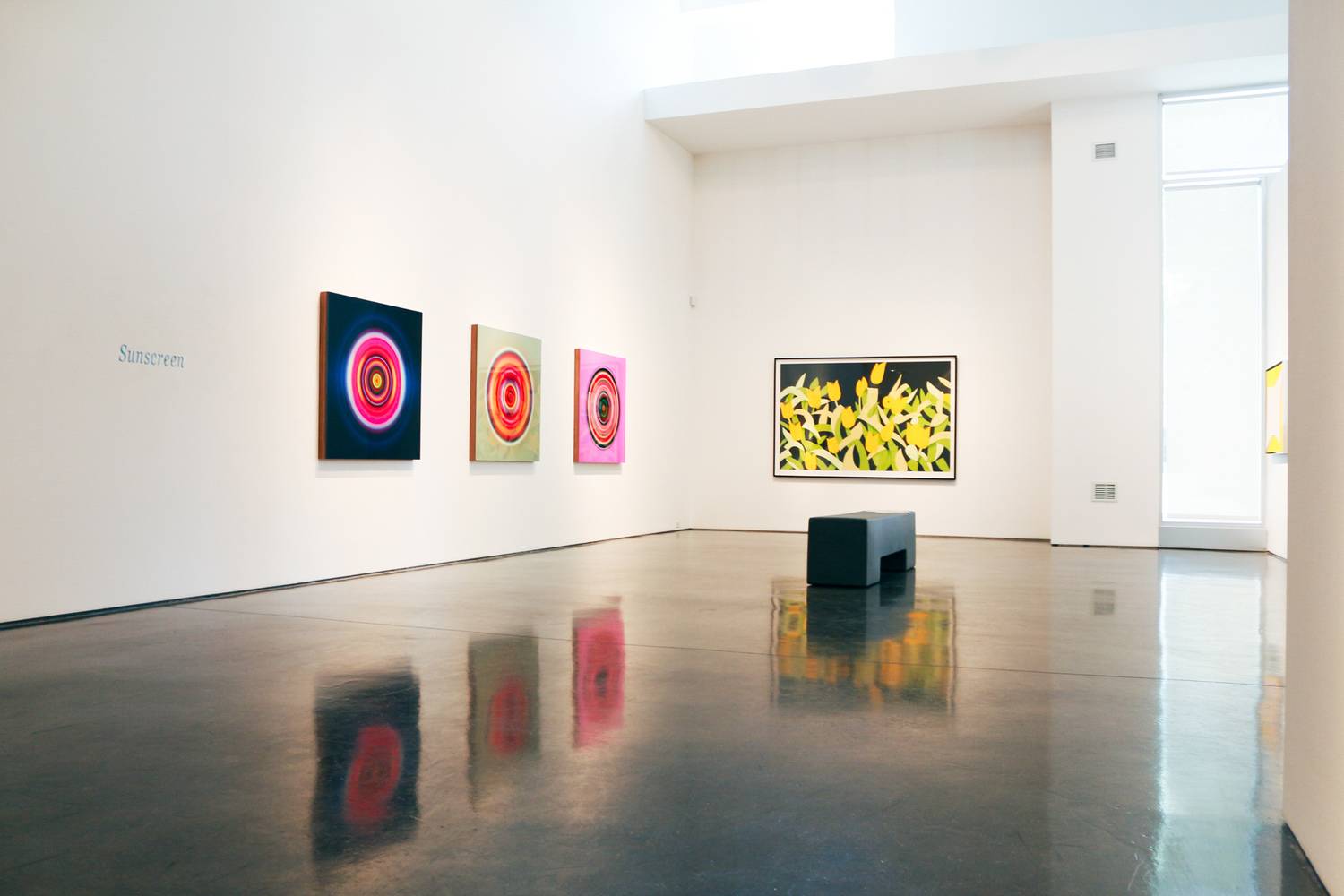 "Sunscreen" - Group Exhibition - 2015 3