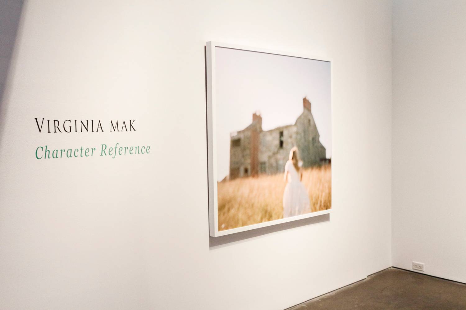 Virginia Mak - "Character Reference" - 2015 1