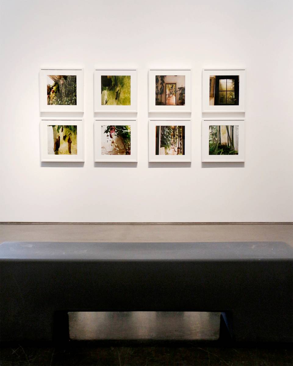 "Flora" - Group Exhibition - 2014 6