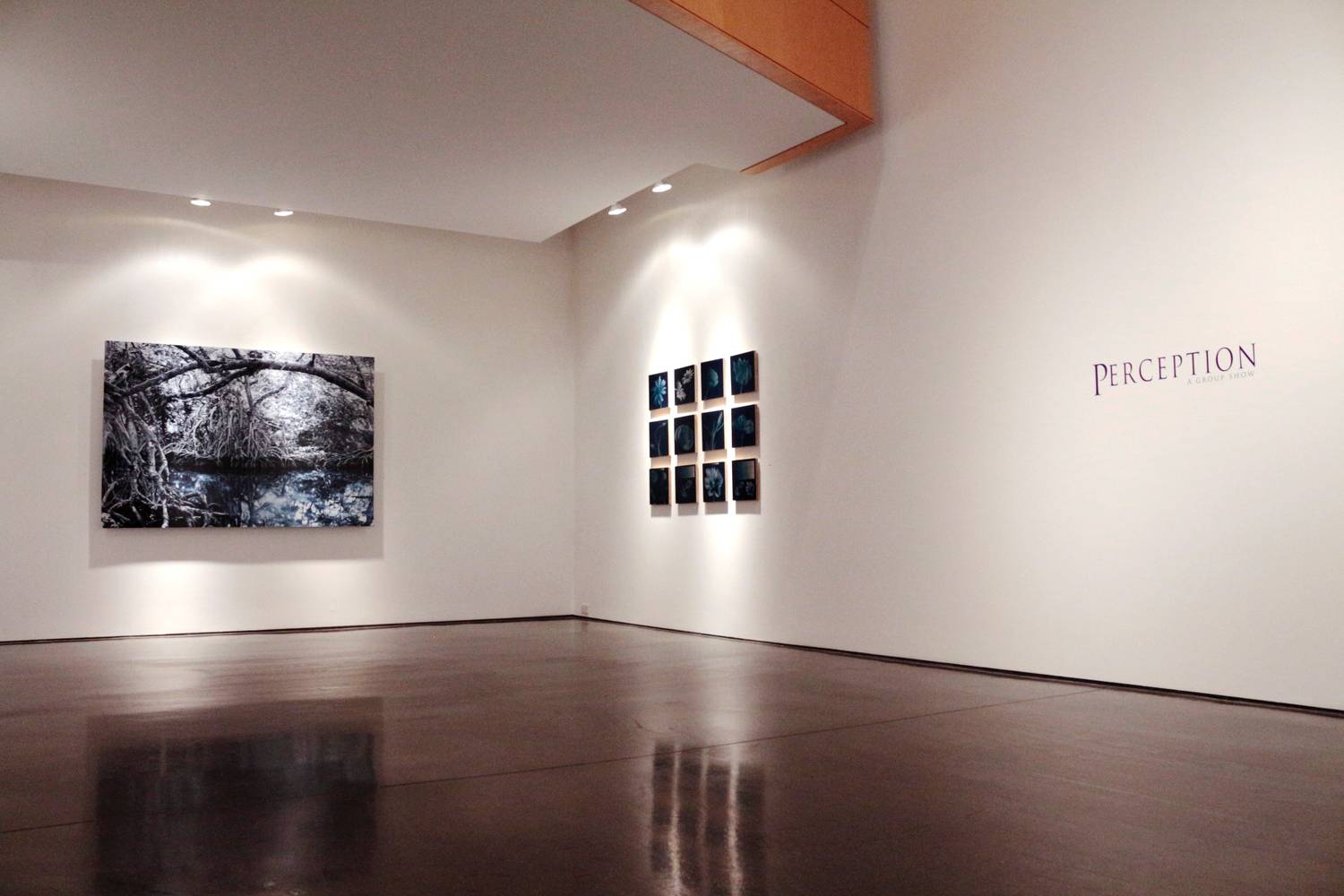 "Perception" - Group Exhibition - 2014 1