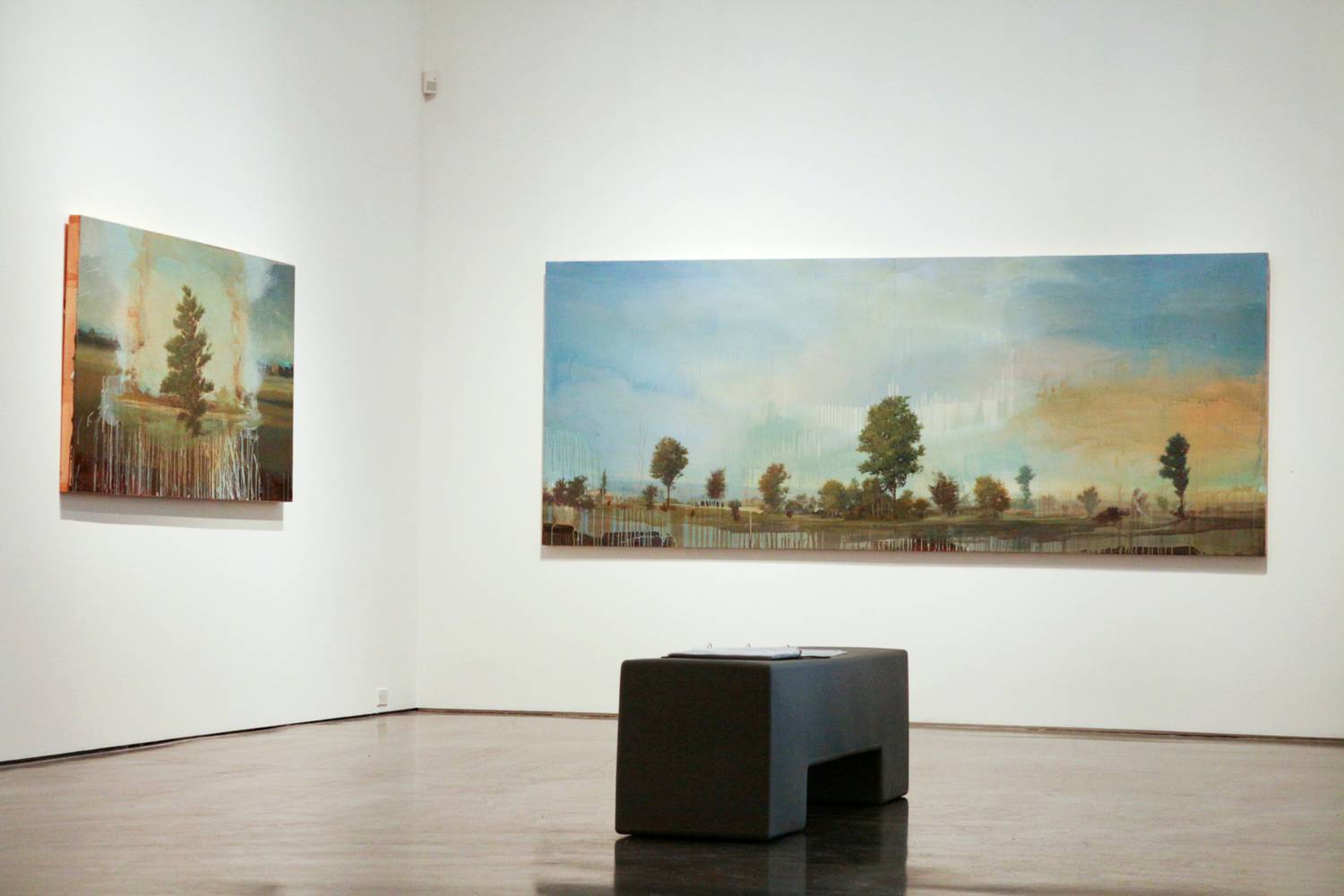 Peter Hoffer "Surface: The Nature Of Painting" - 2013 2