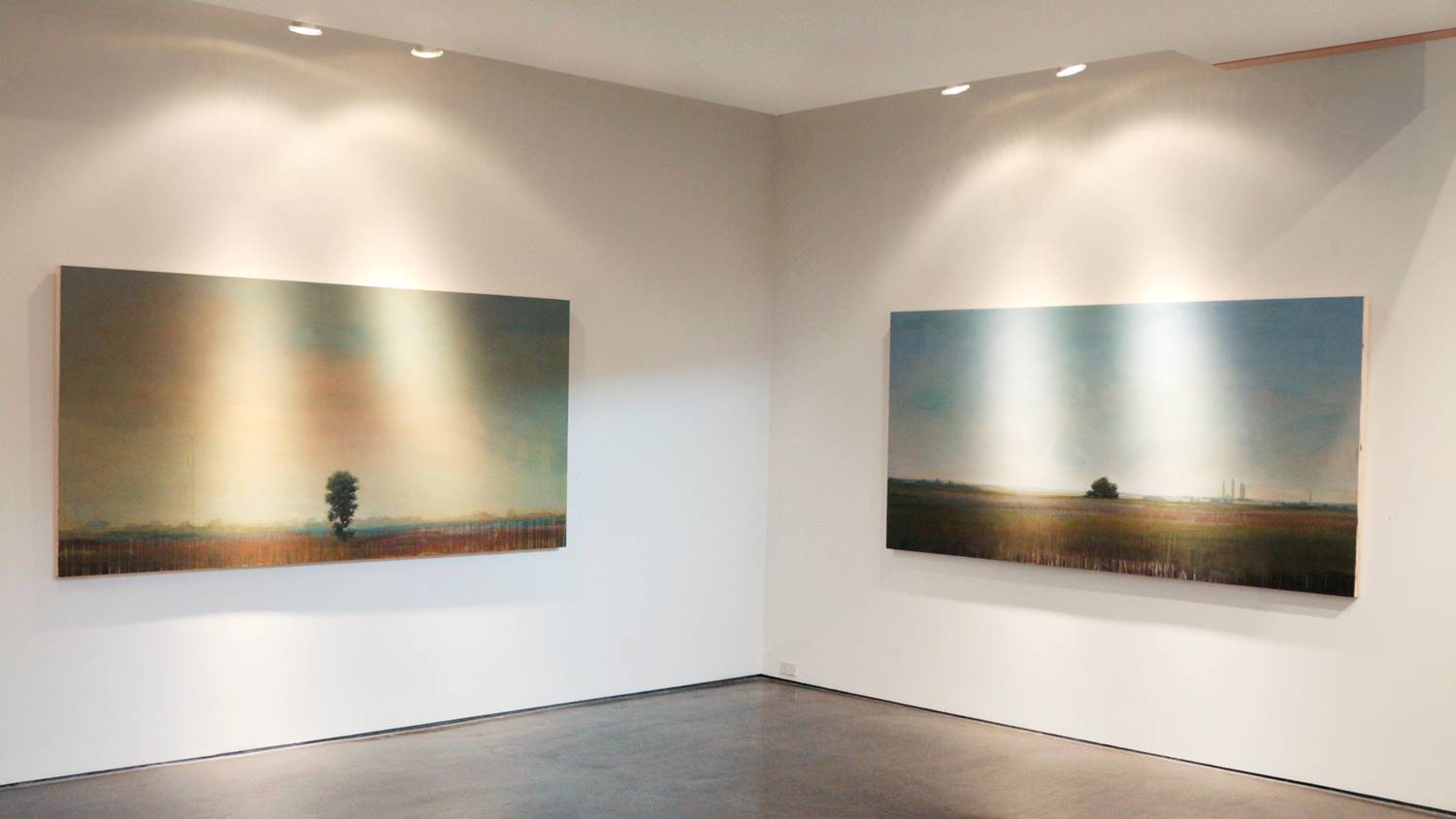 Peter Hoffer "Surface: The Nature Of Painting" - 2013 5