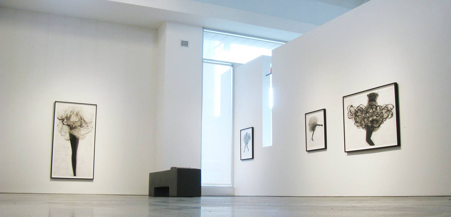 Cathy Daley “Solo Exhibition” - 2013 3