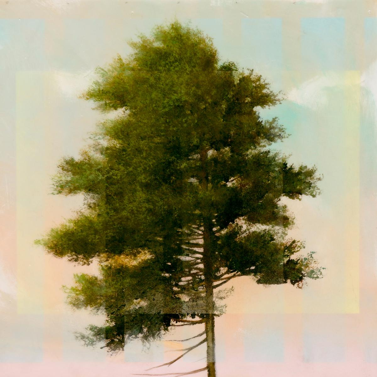 PINE 1