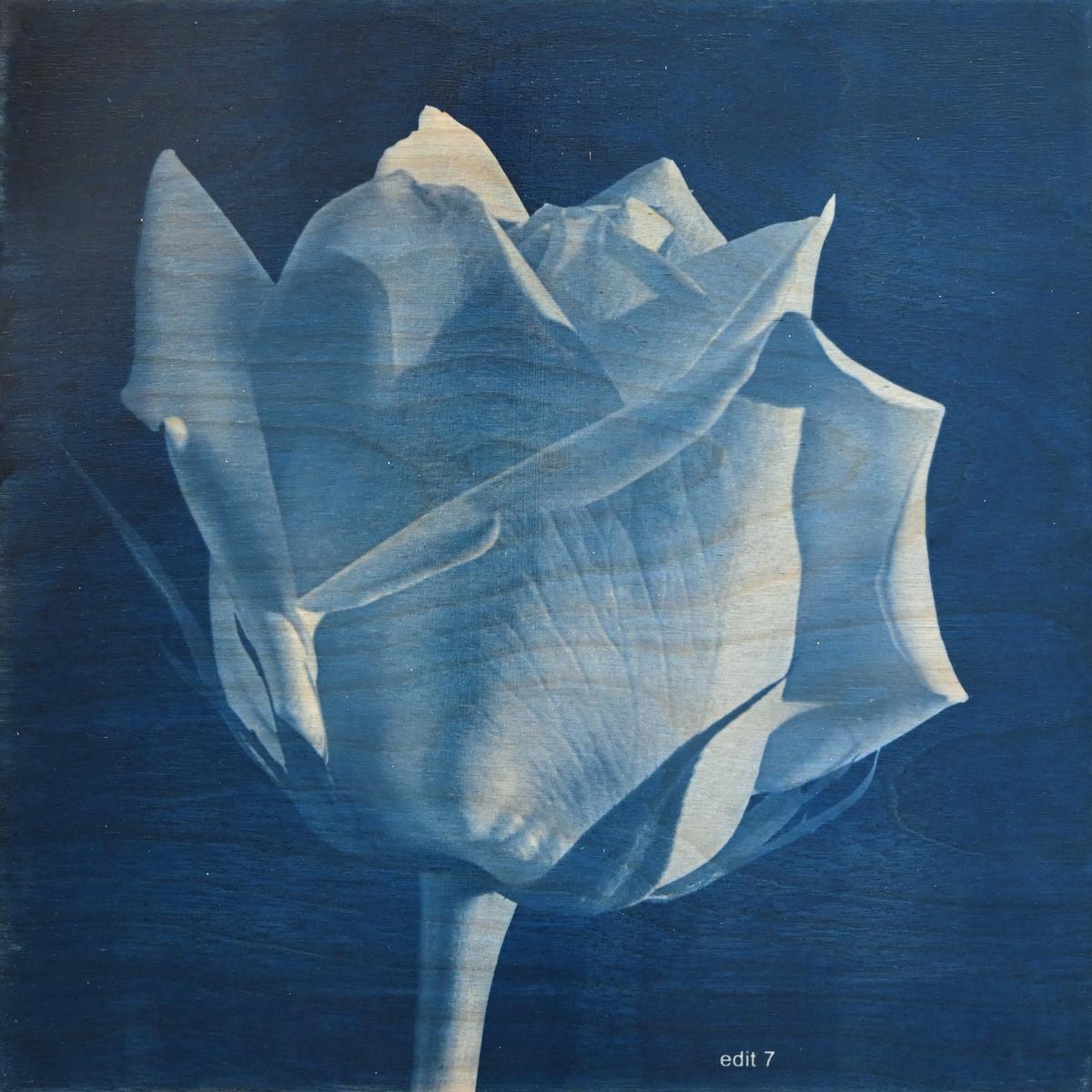 FLOWER PROOF SERIES II: #2