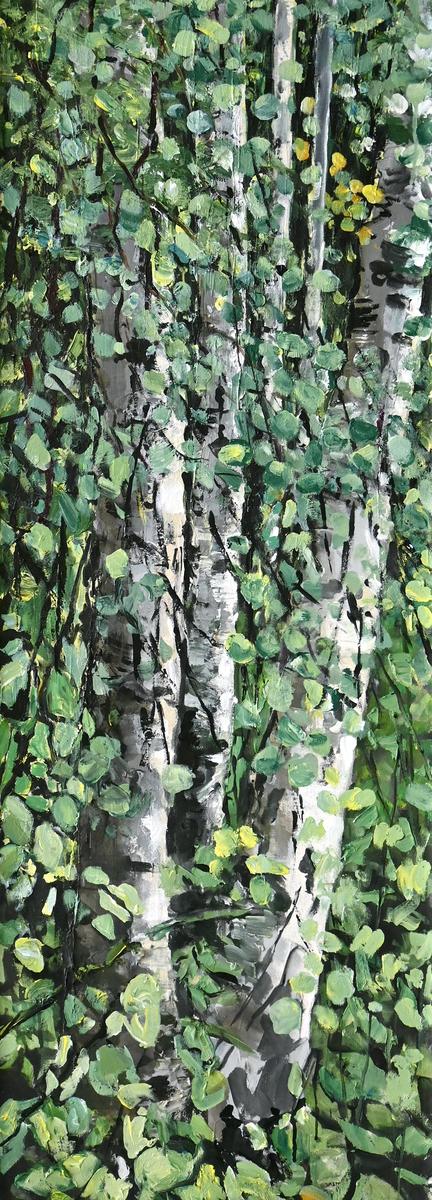 Poplar 19 AC-19-29
