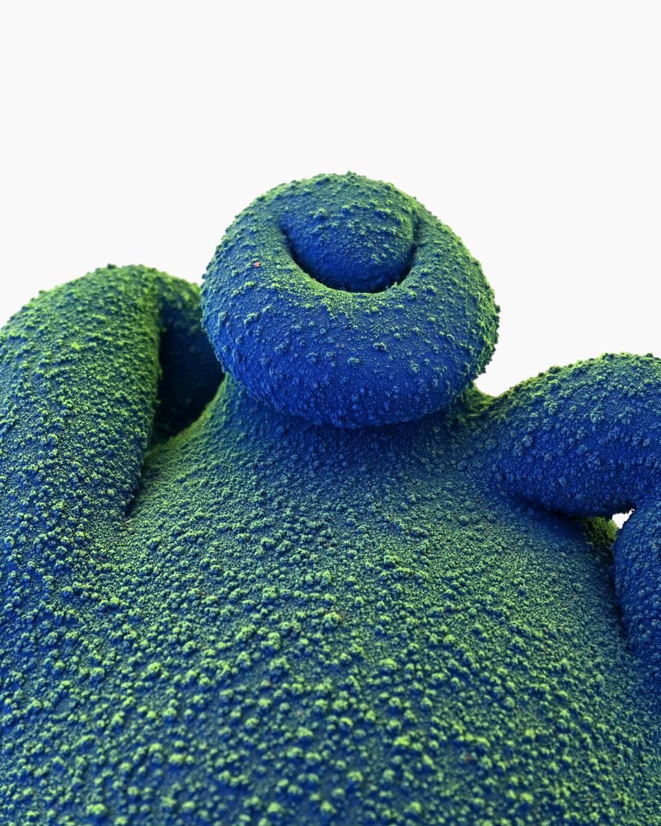 Blue & Green Anthropophora, image 2