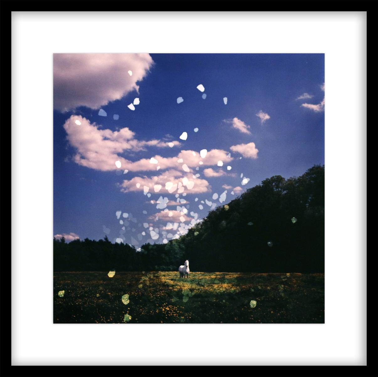 WHITE HORSE, HILL 62, FLANDERS FIELDS, BELGIUM, ED. 1/1