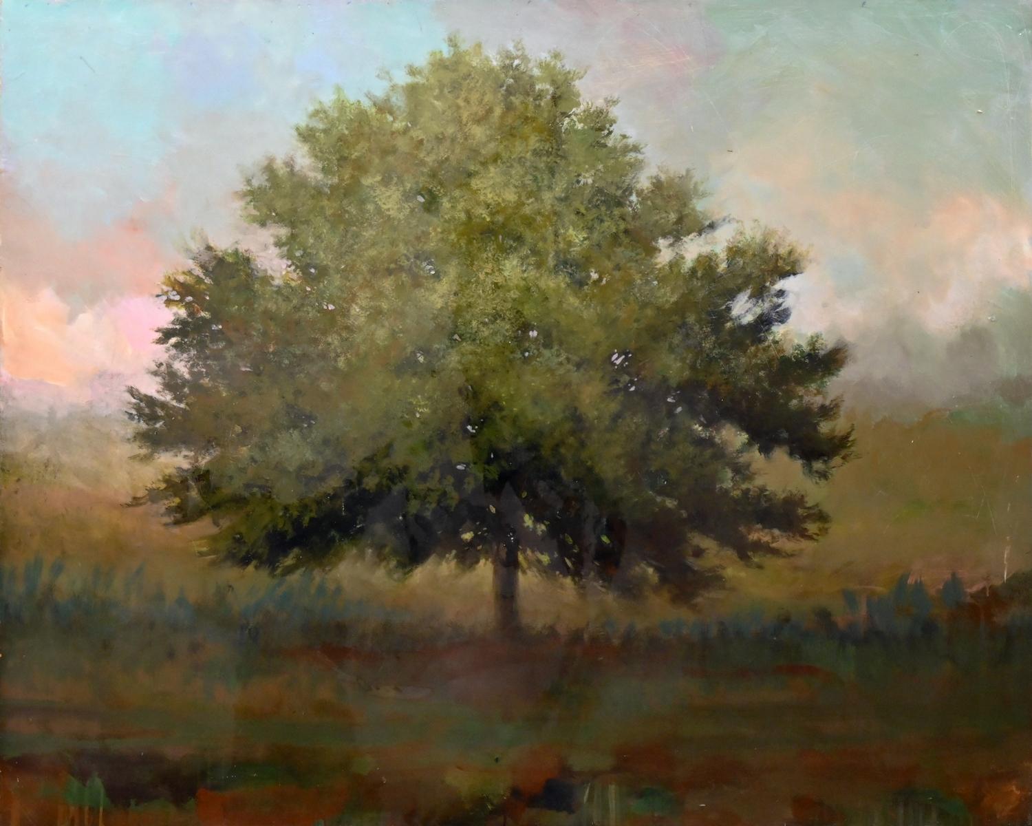 Pasture Elm