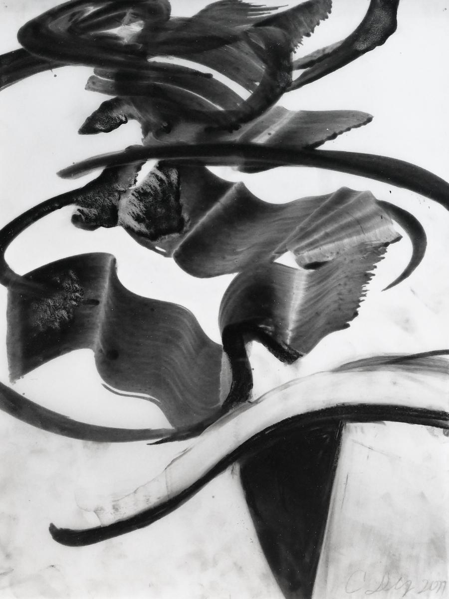 Untitled (PD476), image 2