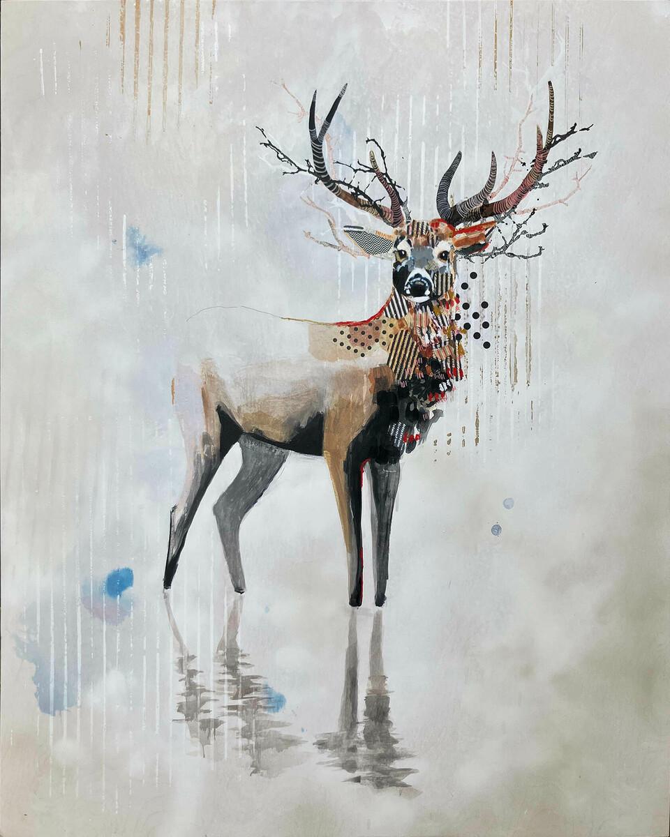 Mule Deer - West