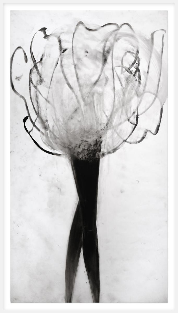 Untitled (DALEPD611), image 2