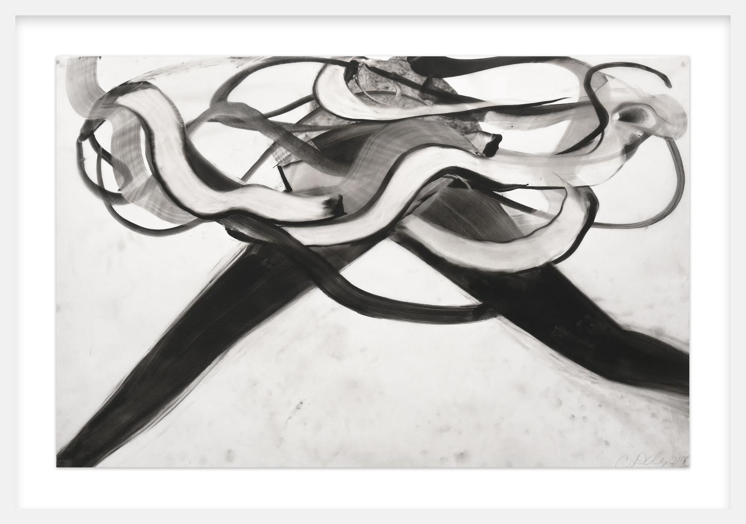 Untitled (DALEPD615), image 2