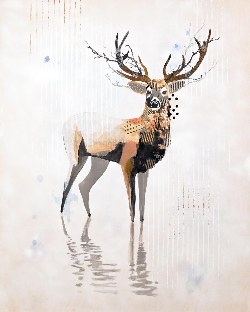 WHITE MULE DEER - WEST 4
