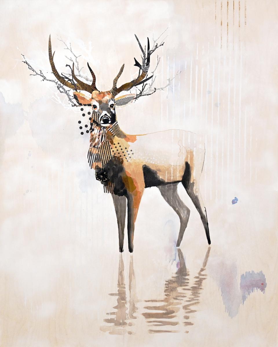 MULE DEER - EAST