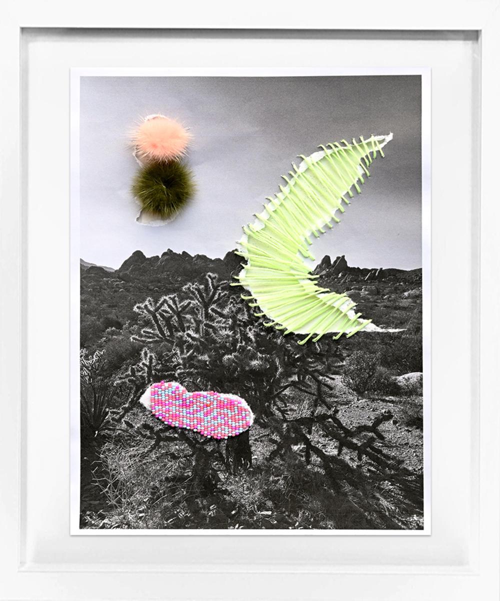 Joshua Tree