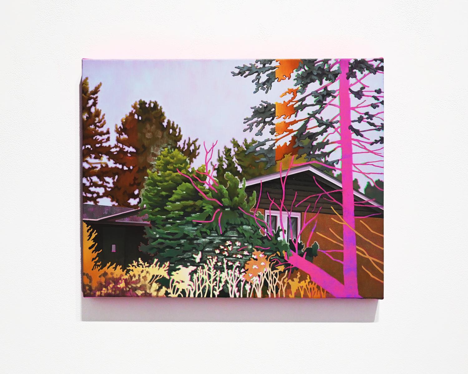 Save House, image 3
