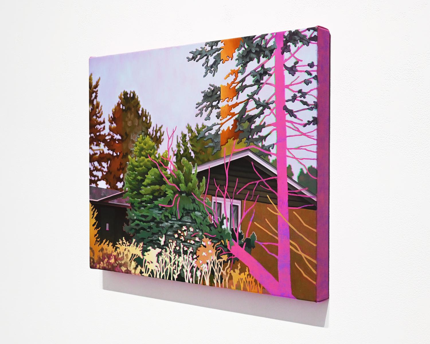 Save House, image 2