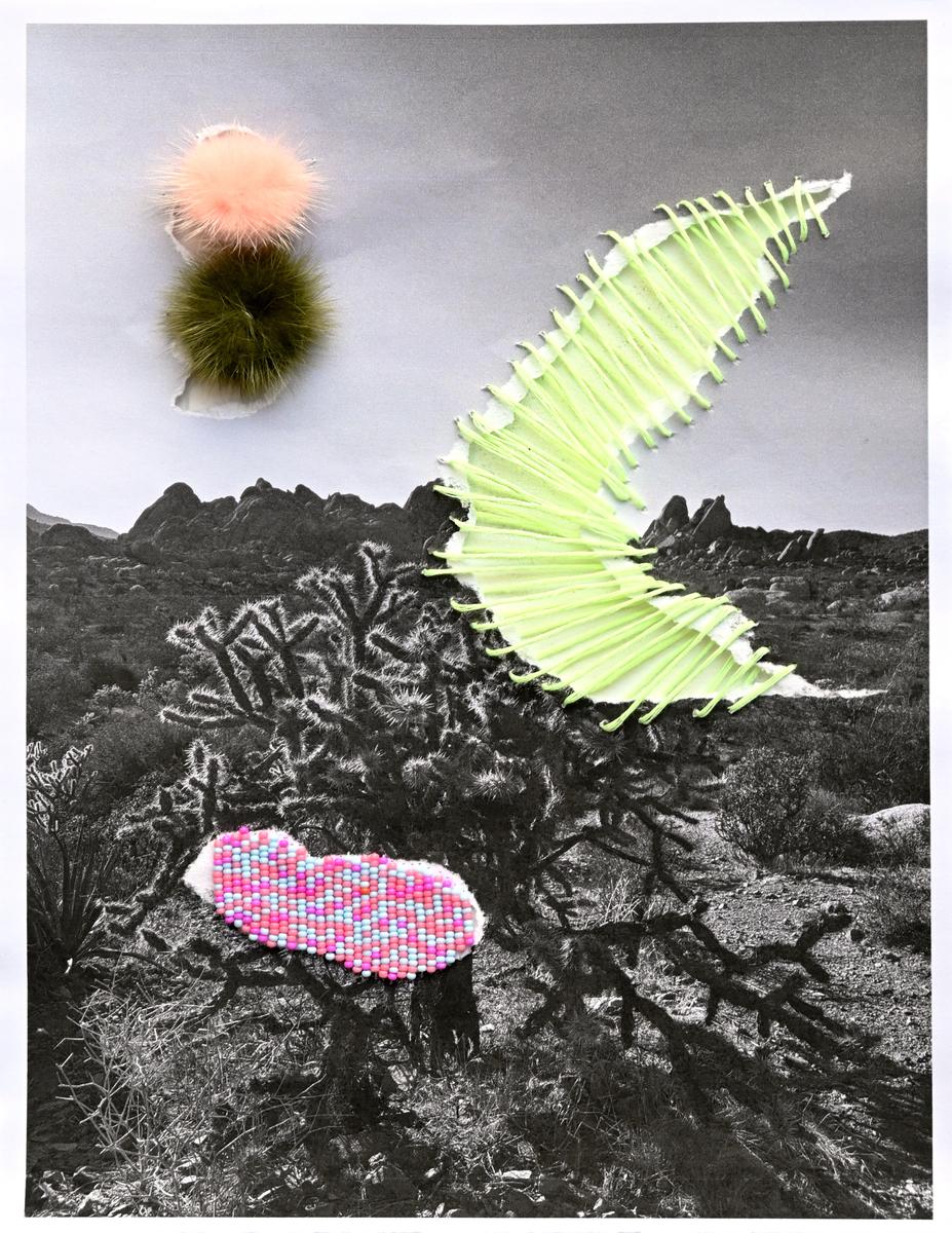 Joshua Tree, image 2