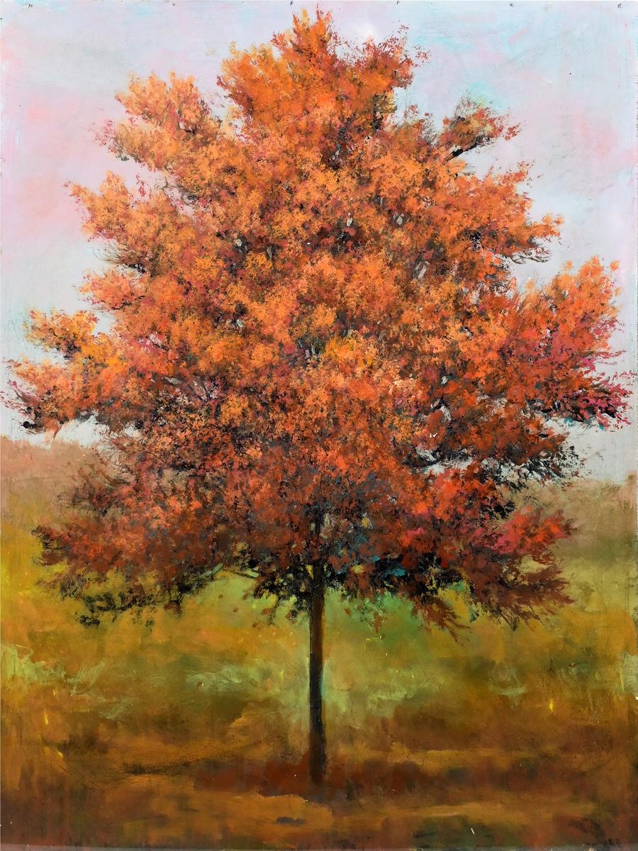 Westchester Oak