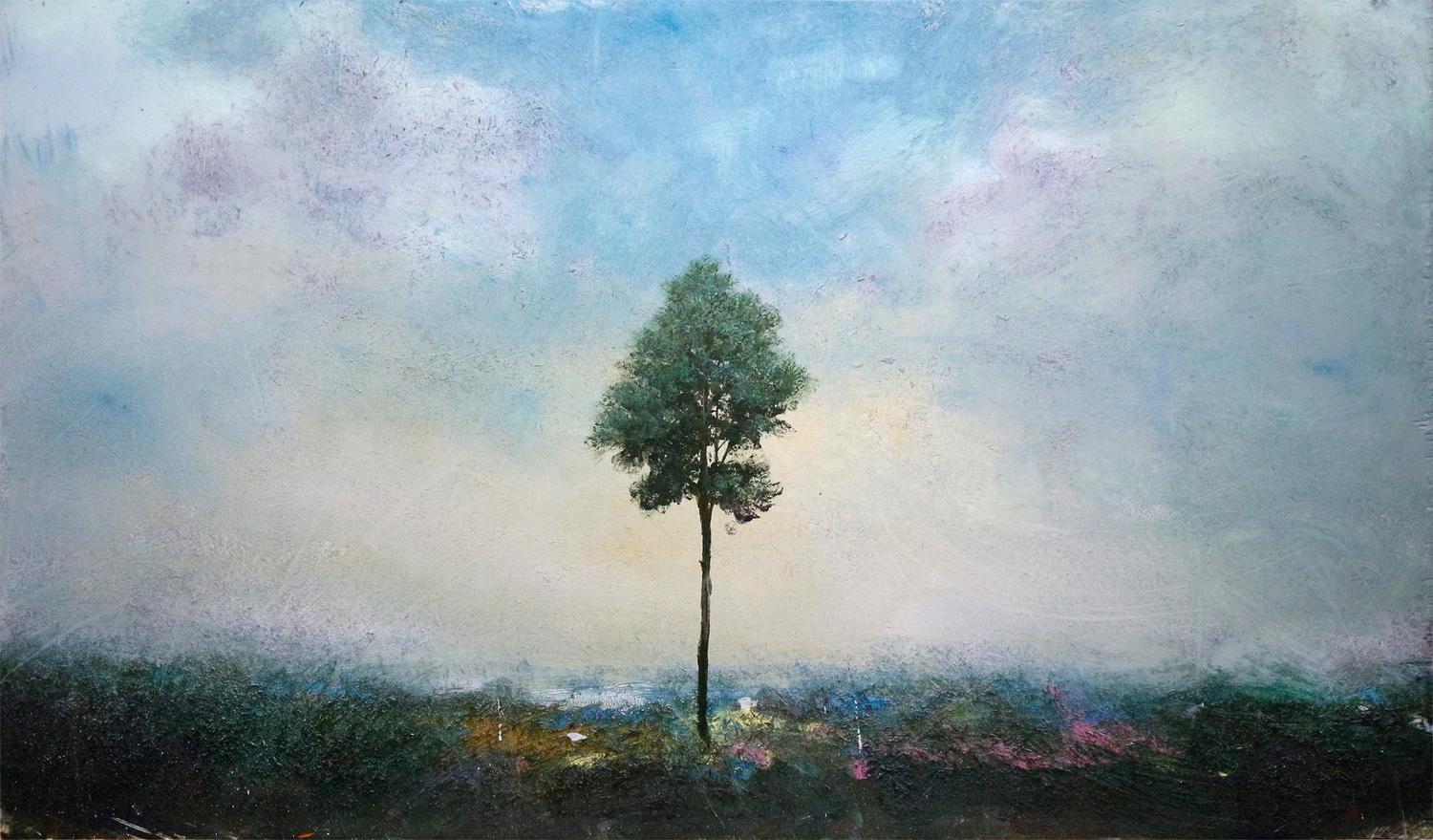 CEDAR