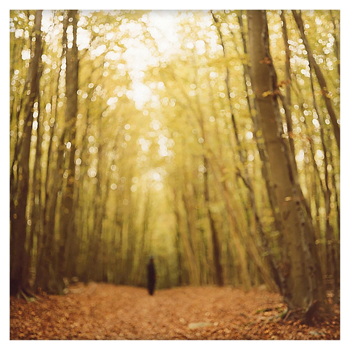 HIDDEN NATURE 3, ED. 2/15, image 2