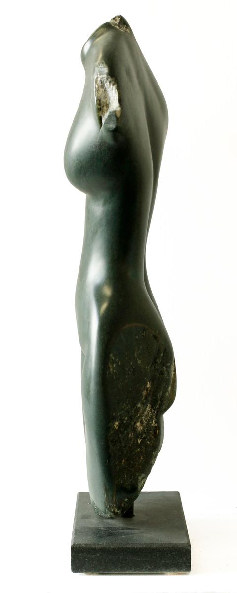 RANA #1322, image 2